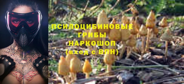 твердый Зеленодольск