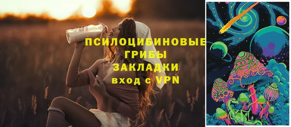 твердый Зеленодольск
