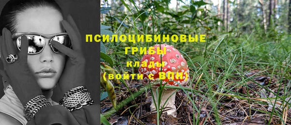 твердый Зеленодольск