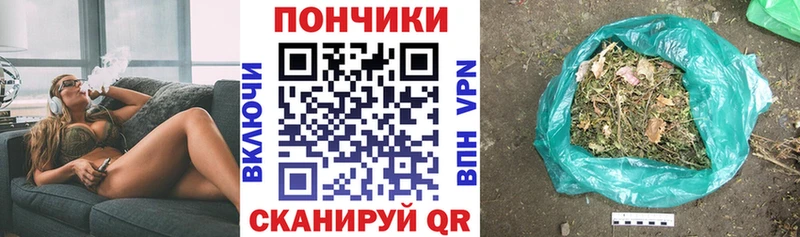 Бошки марихуана планчик  Купить  Терек 